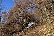 10 Lascio la strada agrosilvopastorale  per seguire il sentiero